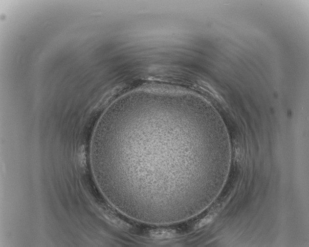 X0000073700549200608101816