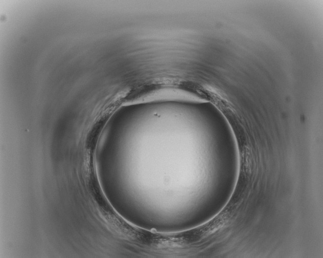 X0000073700550200608101816