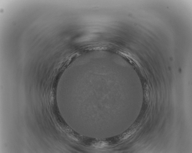 X0000073700551200608101816