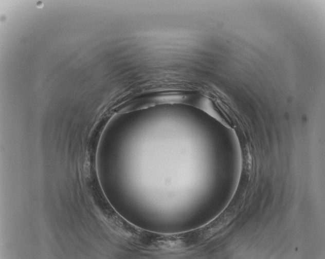 X0000073700552200608101816