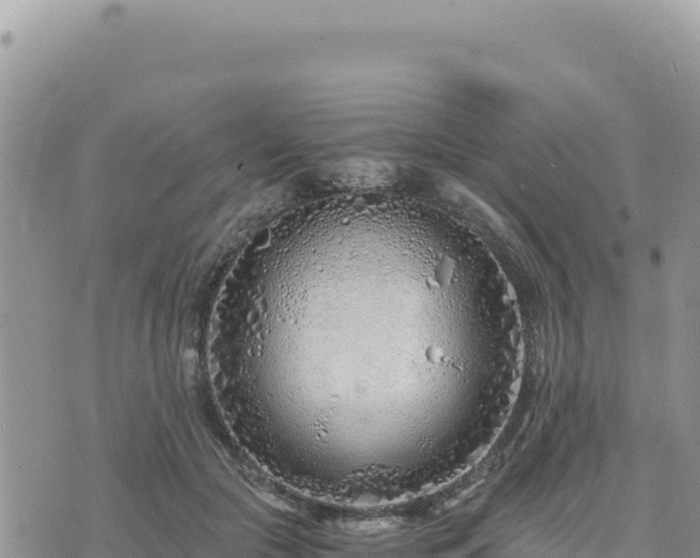 X0000073700553200608101816