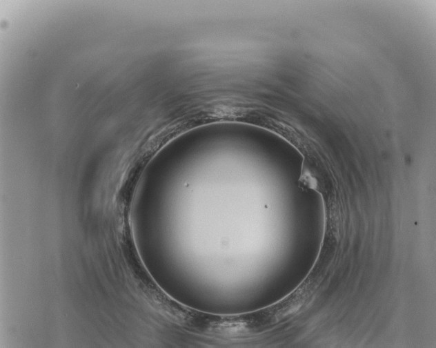 X0000073700554200608101816