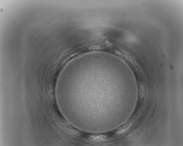 X0000073700557200608101816