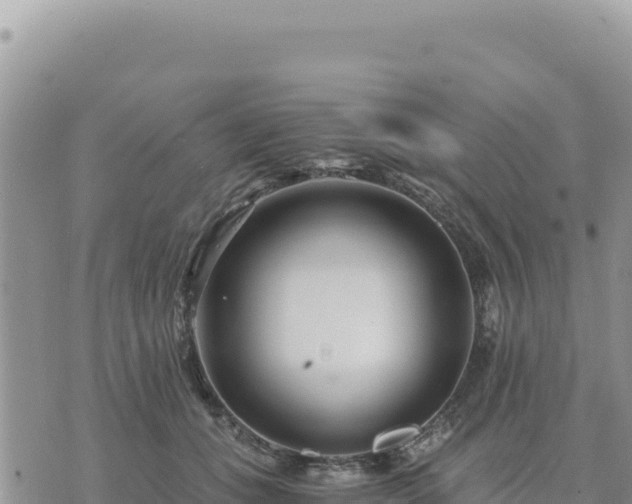 X0000073700559200608101816