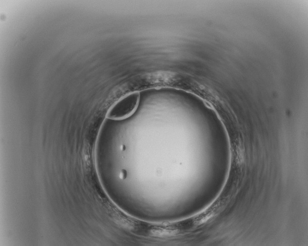 X0000073700561200608101816