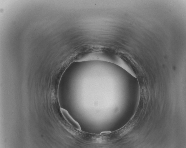 X0000073700564200608101816