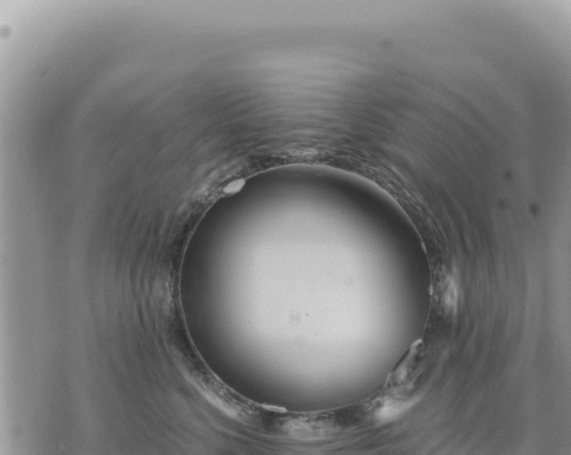 X0000073700568200608101816