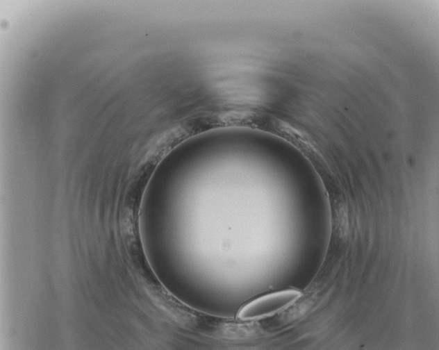 X0000073700571200608101816