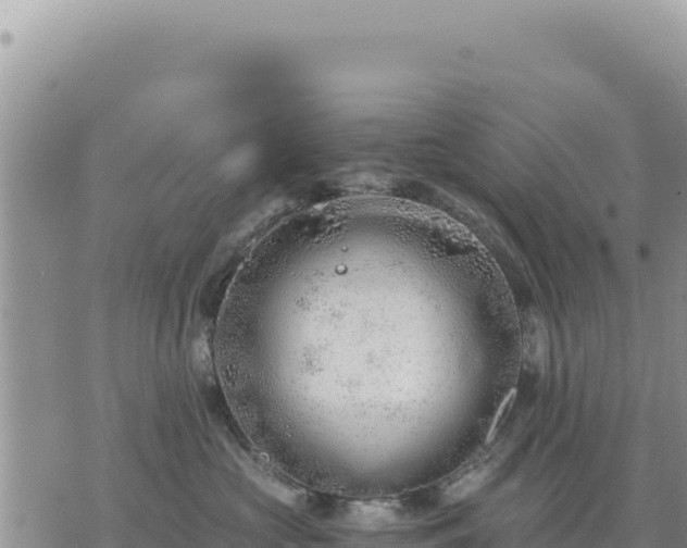 X0000073700573200608101816