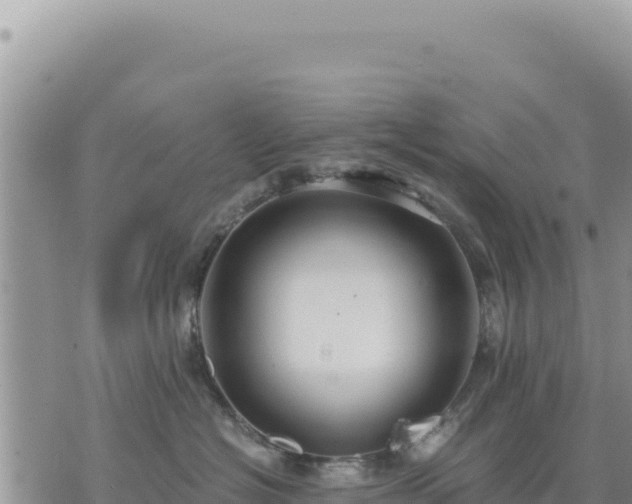 X0000073700574200608101816