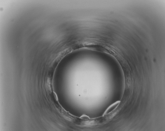 X0000073700575200608101816