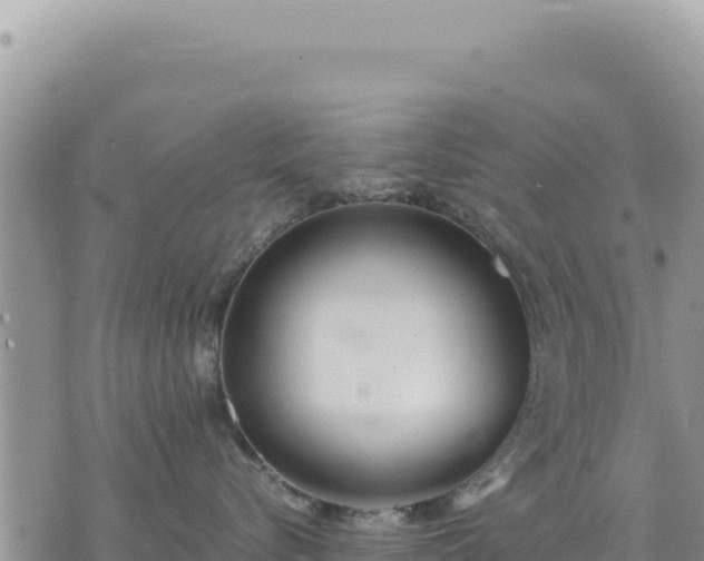 X0000073700576200608101816