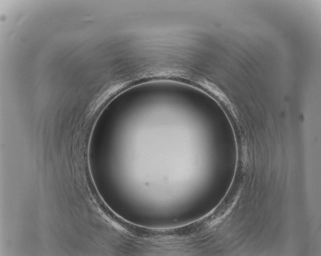 X0000073700577200608101816