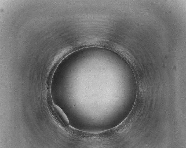 X0000073700578200608101816