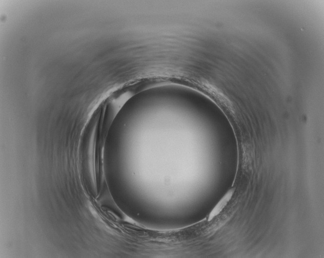 X0000073700580200608101816