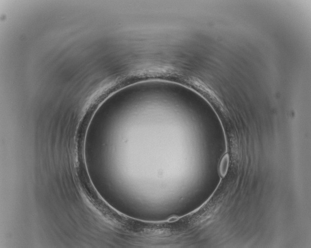 X0000073700582200608101816