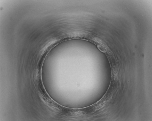 X0000073700583200608101816