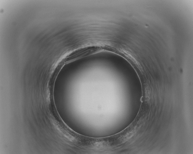 X0000073700584200608101816