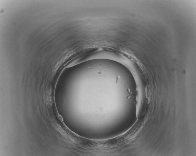 X0000073700585200608101816