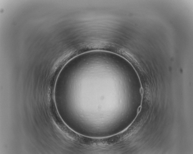 X0000073700586200608101815