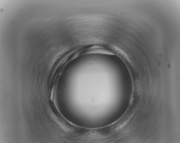 X0000073700589200608101815