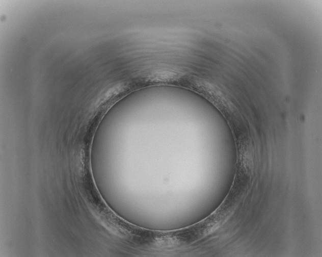 X0000073700591200608101815