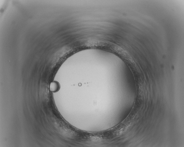 X0000073700592200608101815