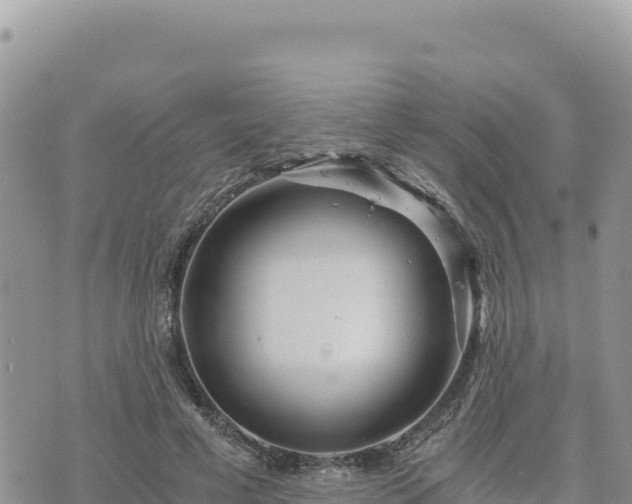 X0000073700593200608101815