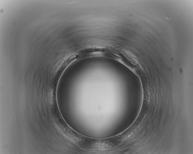 X0000073700596200608101815