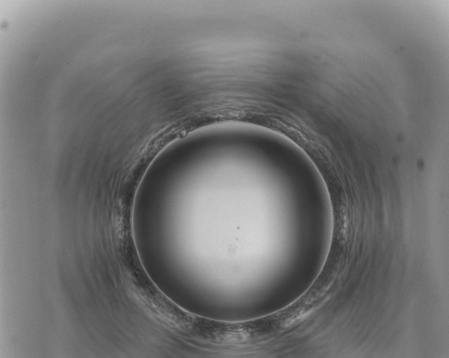 X0000073700600200608101815