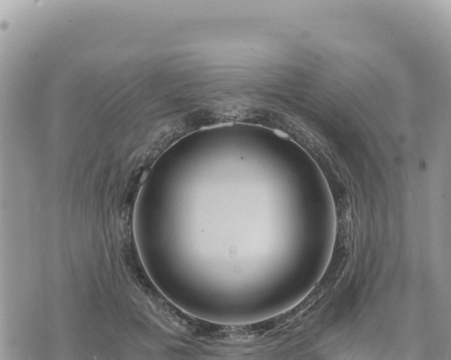 X0000073700601200608101815