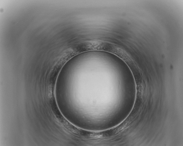 X0000073700602200608101815