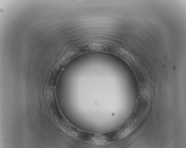 X0000073700603200608101815