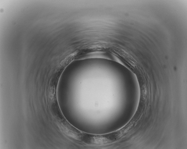 X0000073700605200608101815