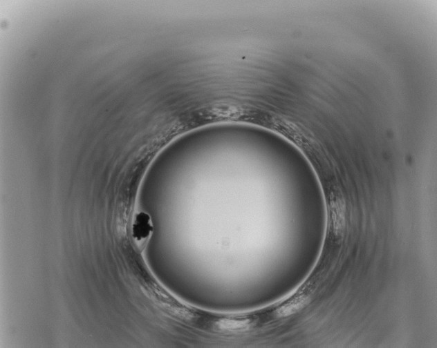 X0000073700606200608101815