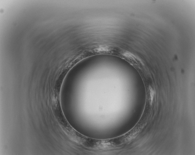 X0000073700607200608101815