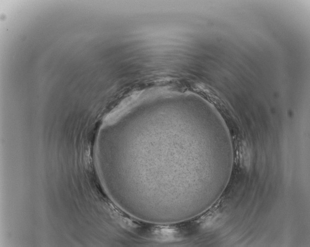 X0000073700610200608101815