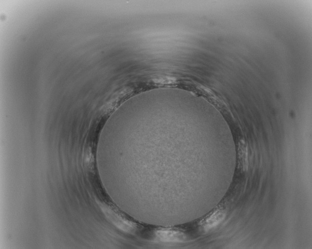 X0000073700614200608101815