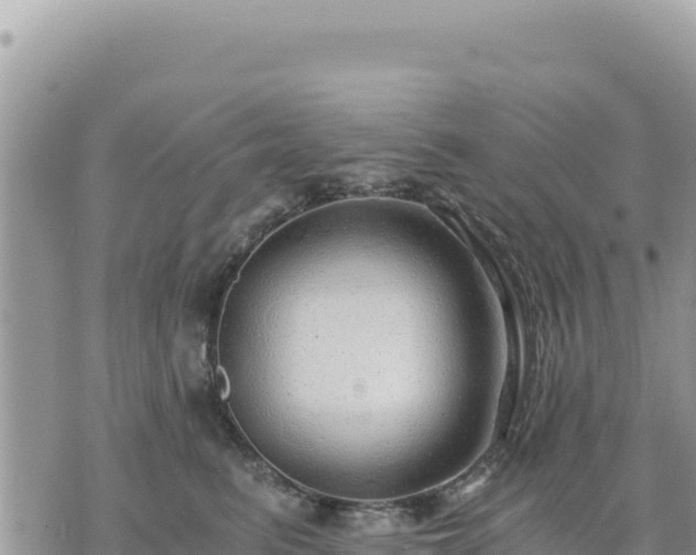 X0000073700615200608101815