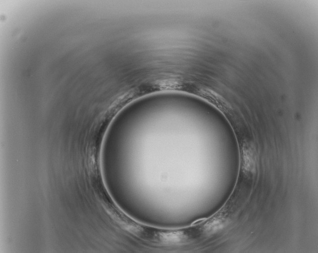 X0000073700618200608101815