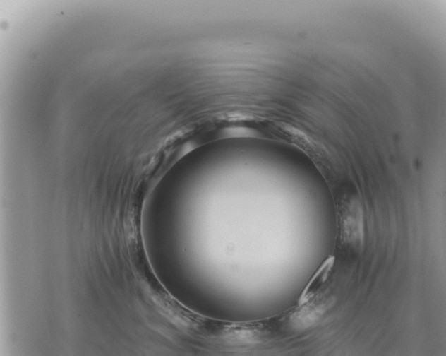 X0000073700620200608101815