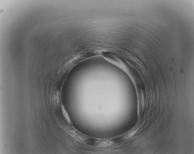 X0000073700621200608101815