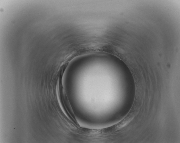 X0000073700624200608101815