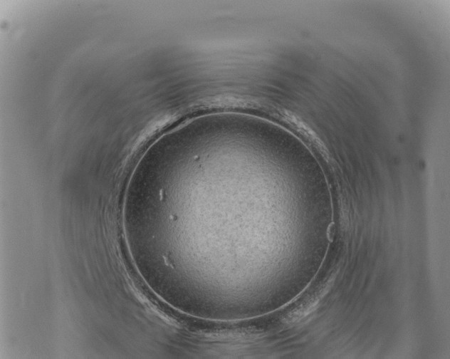 X0000073700625200608101814