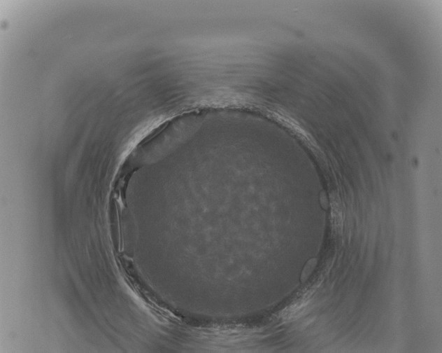 X0000073700626200608101814