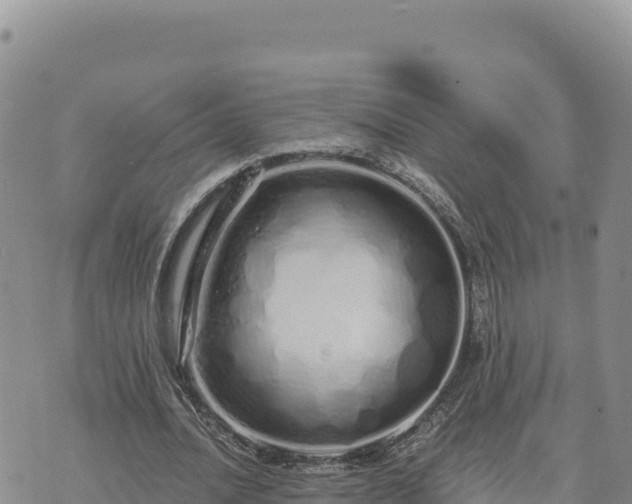 X0000073700628200608101814