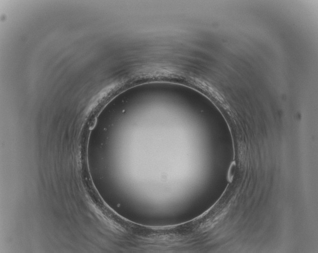 X0000073700629200608101814