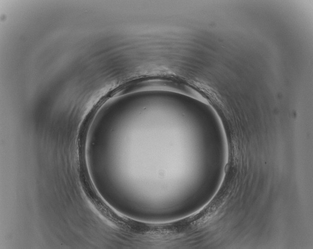 X0000073700630200608101814