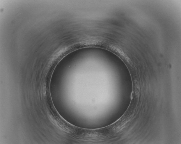 X0000073700631200608101814