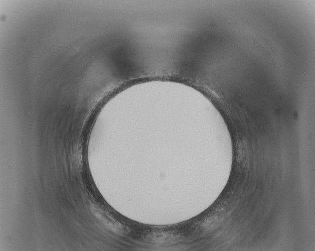 X0000073700632200608101814